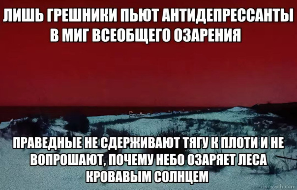 Фотографии со стены