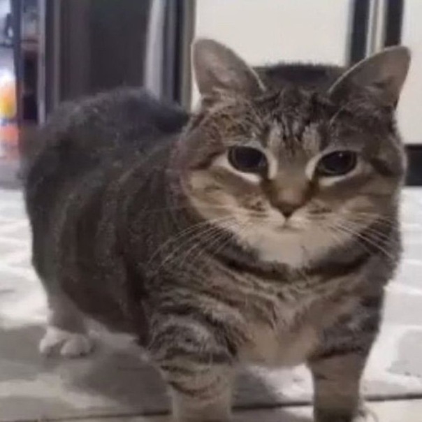 Afasffsdsgsgdg 