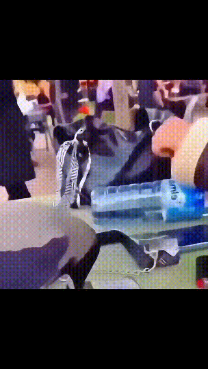 жизнб ьоль...