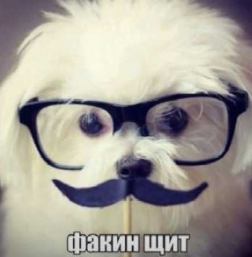 Mishanya Lagoped