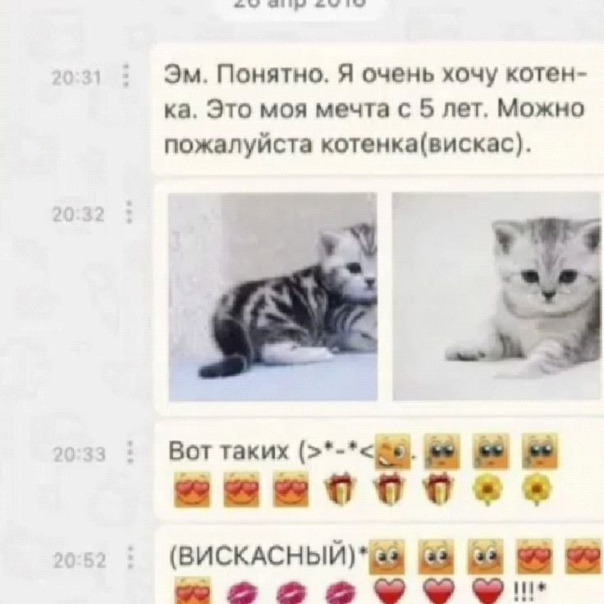 фотачки!!