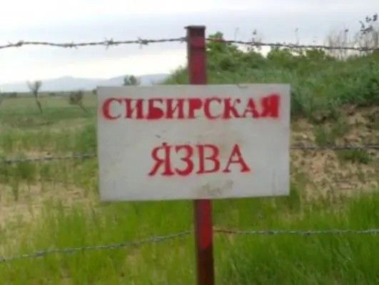 Фотографии со страницы