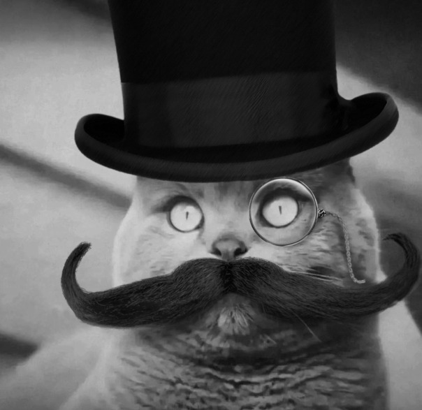 Rybak Gentleman