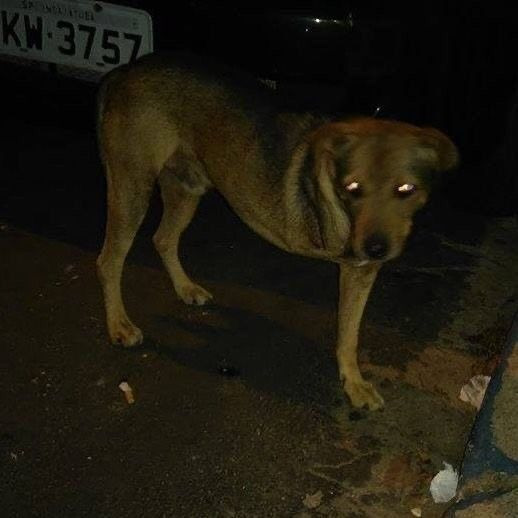 Фотографии со страницы