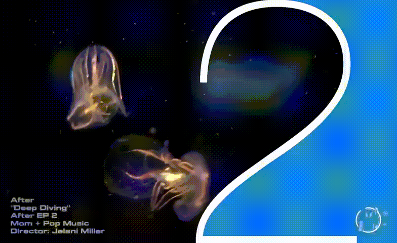 After - Deep Diving 