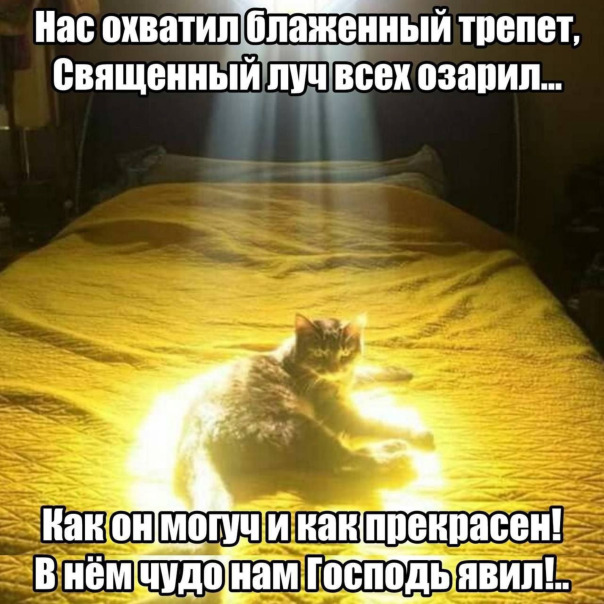 Фотографии со стены