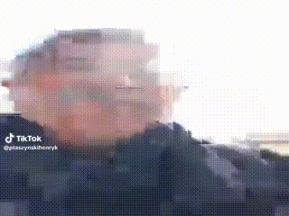 лось медиа2mp4