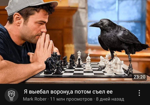 баги приколы фейлы