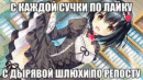 смешная фотка