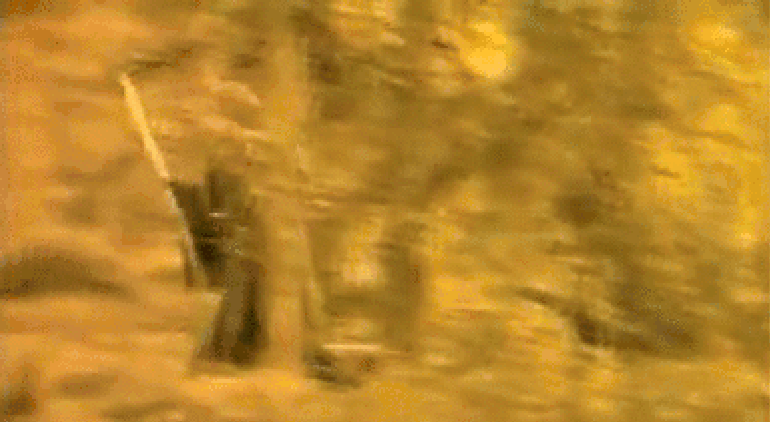 gif photo view