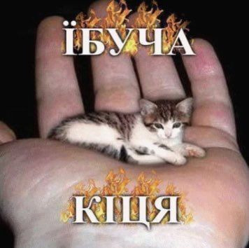 Игорь Зимов
