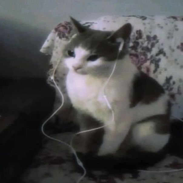 mine. 