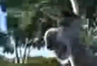 ДЯДЕНЬКА ДАЙТЕ ПОЖАЛУЙСТА ЧУПА ЧУПС