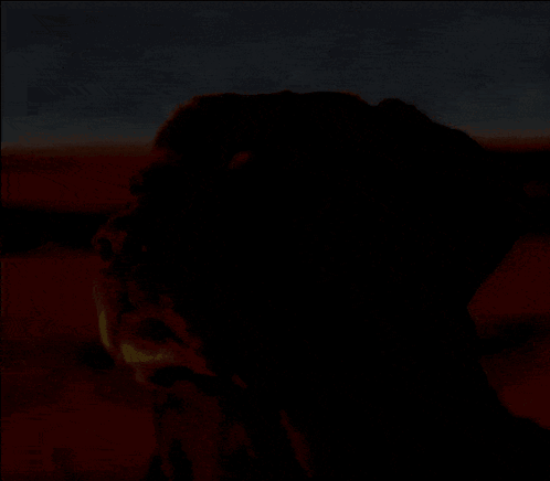 gif photo view