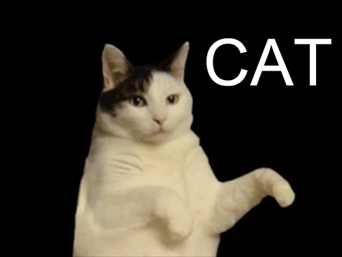 gif photo view