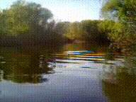 The river
