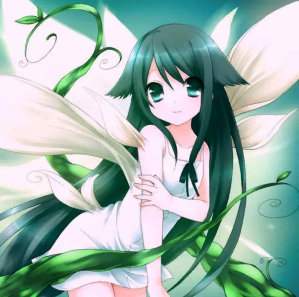 Lizitt Qwq