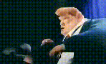 gif photo view