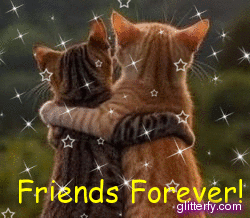 gif photo view
