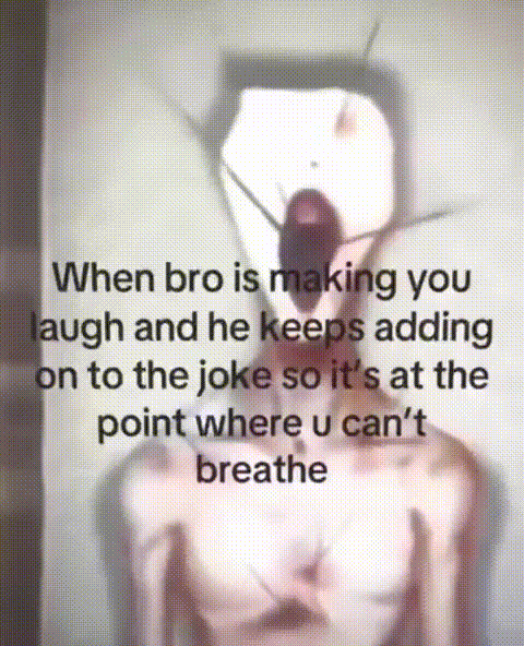 shtpost0006.mp4