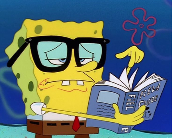 Spongebob Official