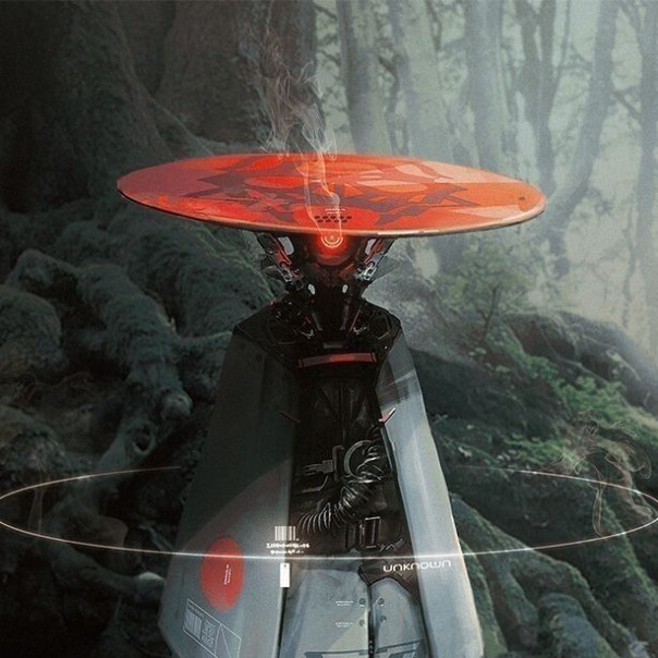 Cyber Samurai