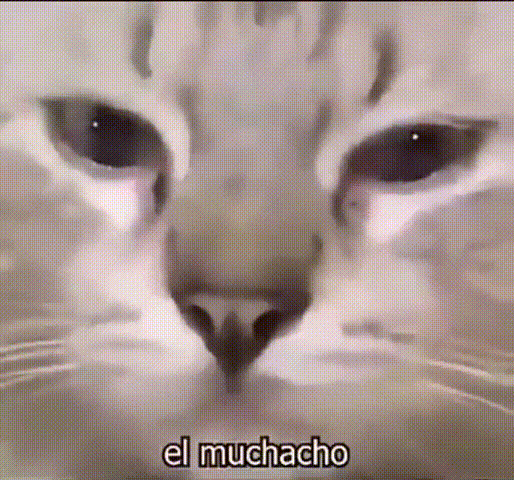 Грустные коты