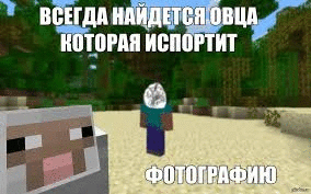 Фотографии со стены