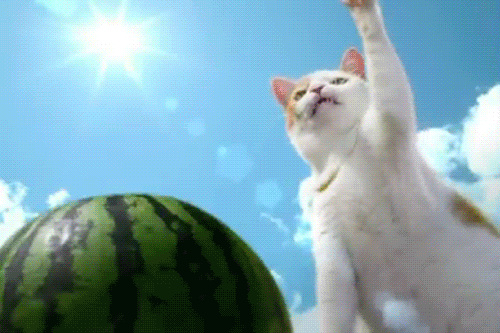 gif photo view