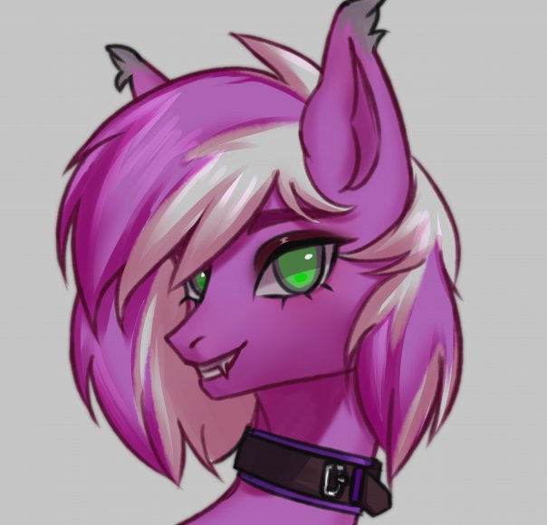 Skeety Pony