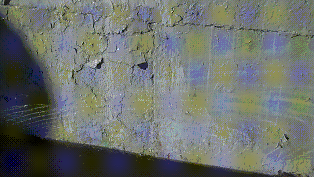 gif photo view