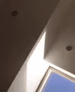 gif photo view