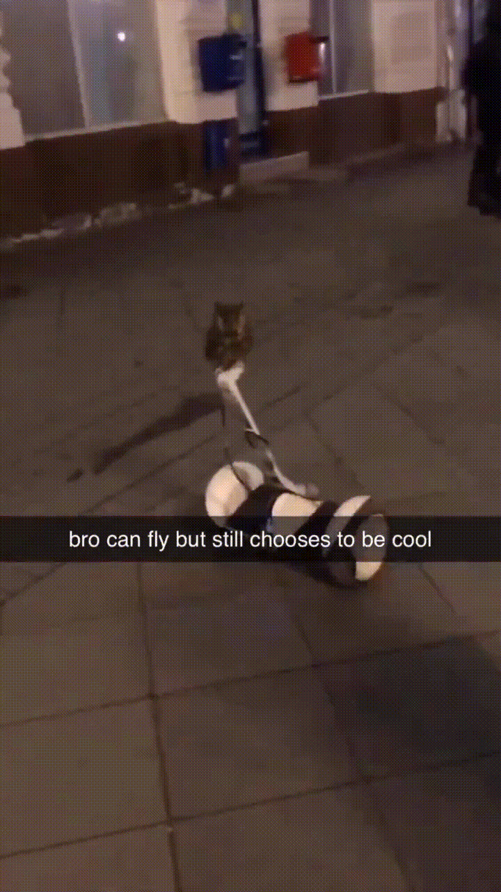 6192841712637841503