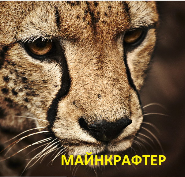 Майнкрафтер 