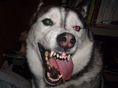 Ангел 