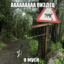Муся