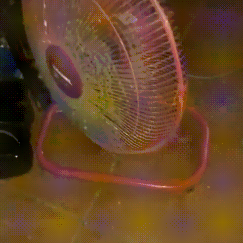 Unnamed Video.ogv