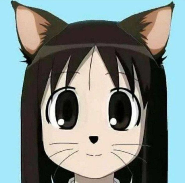 Кгцл 