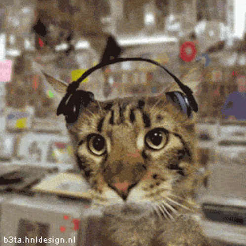 gif photo view
