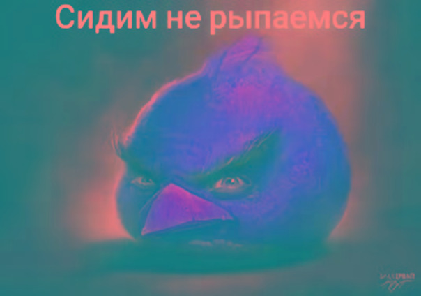Фотографии со страницы