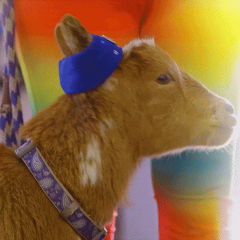 gif photo view
