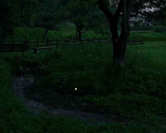 gif photo view