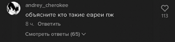 никто:
гитлер:...