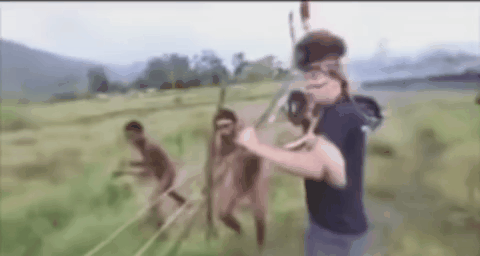 gif photo view