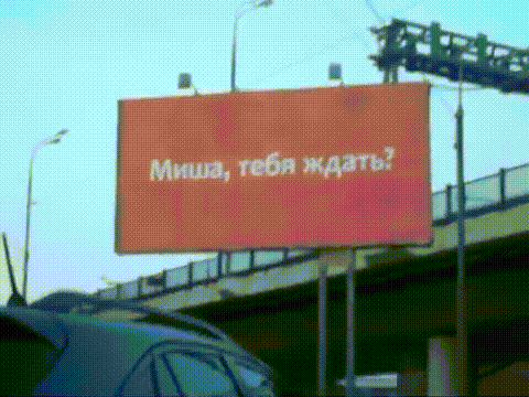 Виктор Пузо и Миша