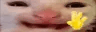 gif photo view