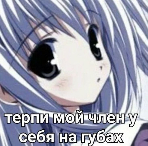 Fadeflor Sdhdshs