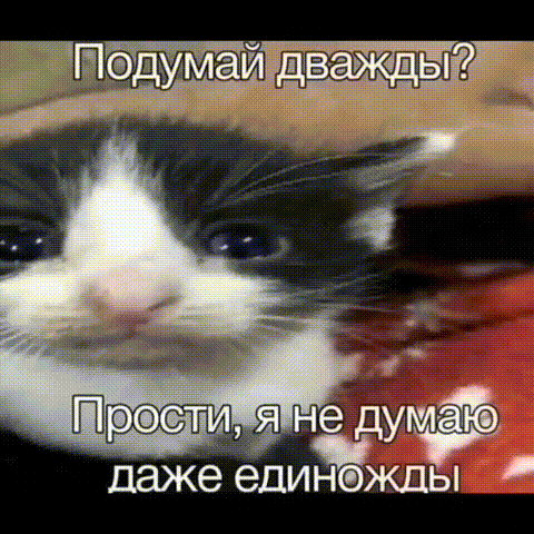 5959134153328