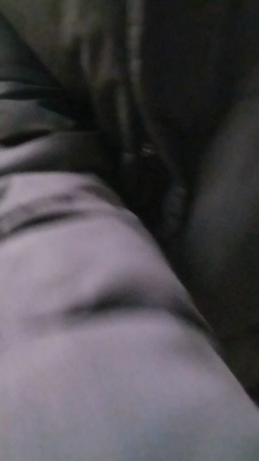 绿茶婊