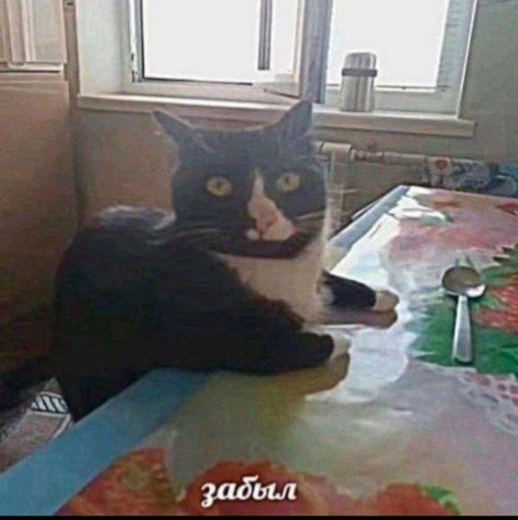 Наплече Зверушка